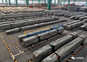 大明泰安加工中心 在扁钢及钢压延加工领域的核心优势解析